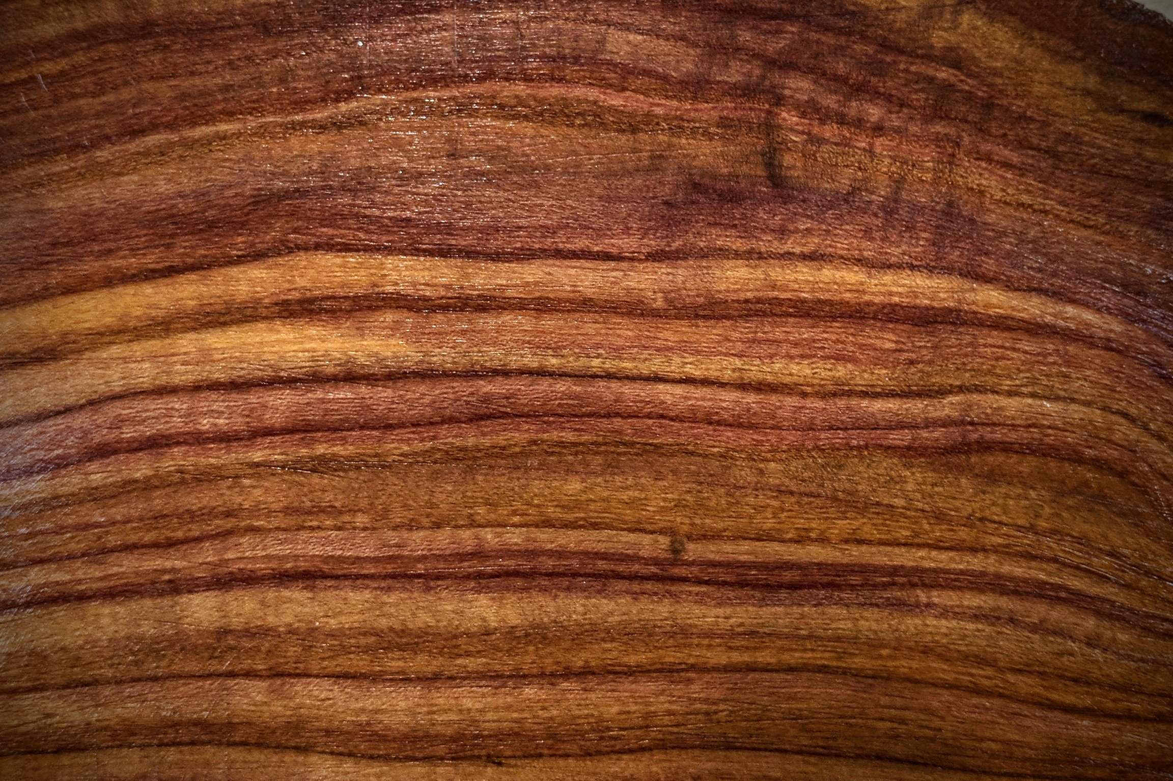 Avatar for Shop 1 Fabrication and Furnishings